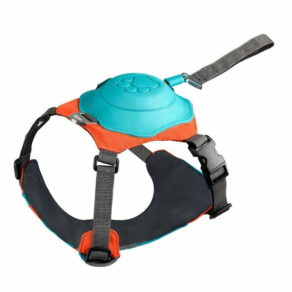 Paticomfort Gökyüzü Mavisi Premium Köpek Tasması & Göğüslük Seti | Otomatik Toplamalı Konforlu Yürüyüş Tasması
