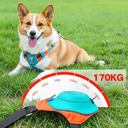 Paticomfort Gökyüzü Mavisi Premium Köpek Tasması & Göğüslük Seti | Otomatik Toplamalı Konforlu Yürüyüş Tasması