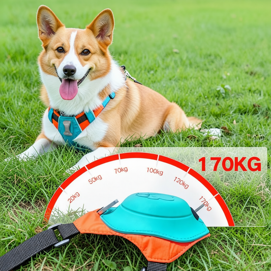 Paticomfort Gökyüzü Mavisi Premium Köpek Tasması & Göğüslük Seti | Otomatik Toplamalı Konforlu Yürüyüş Tasması