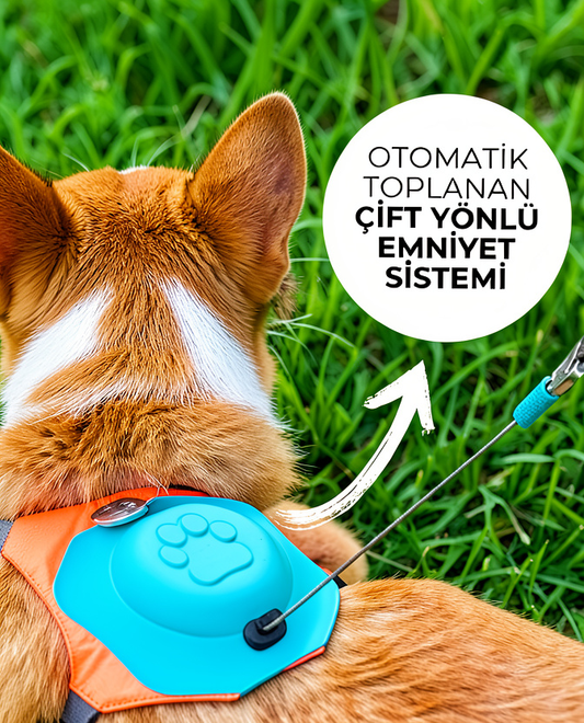 Paticomfort Gökyüzü Mavisi Premium Köpek Tasması & Göğüslük Seti | Otomatik Toplamalı Konforlu Yürüyüş Tasması