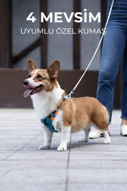 Paticomfort Gökyüzü Mavisi Premium Köpek Tasması & Göğüslük Seti | Otomatik Toplamalı Konforlu Yürüyüş Tasması