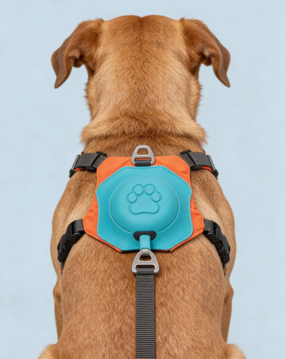 Paticomfort Gökyüzü Mavisi Premium Köpek Tasması & Göğüslük Seti | Otomatik Toplamalı Konforlu Yürüyüş Tasması