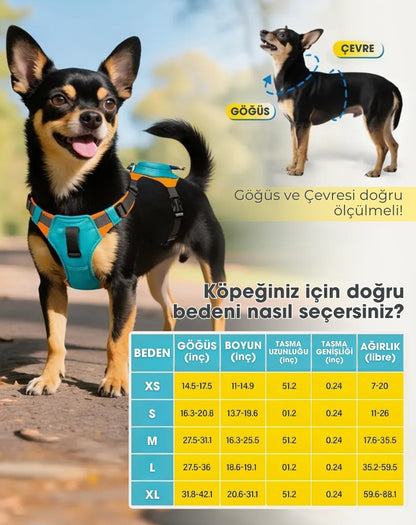Paticomfort Gökyüzü Mavisi Premium Köpek Tasması & Göğüslük Seti | Otomatik Toplamalı Konforlu Yürüyüş Tasması